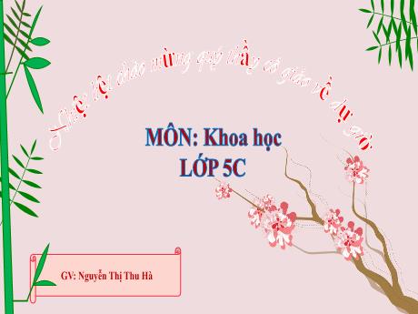 Bài giảng Khoa Học 5 - Bài 24: Nam và nữ (Tiết 2)(Nguyễn Thị Thu Hà)