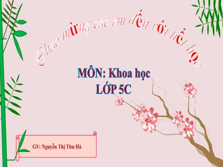 Bài giảng Khoa Học 5 - Bài 25: Chăm sóc sức khỏe tuổi dậy thì (Tiết 3)(Nguyễn Thị Thu Hà)