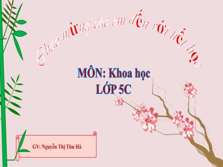 Bài giảng Khoa Học 5 - Bài 26: Phòng tránh bị xâm hại (Tiết 2)(Nguyễn Thị Thu Hà)