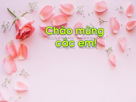 Bài giảng Tiếng Việt 1 - Bài 2: Câu chuyện của rễ (Tiết 2)(Nguyễn Thị Ánh Tuyết)
