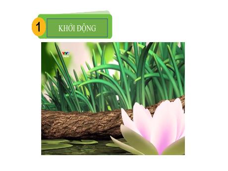 Bài giảng Tiếng Việt 1 - Bài 82: Ôn tập (Tiết 2)(Trần Thị Thanh Hương)