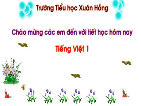 Bài giảng Tiếng Việt 1 - Bài 9: Ơ ơ, Dấu ngã (Trần Thị Hồng Thúy)