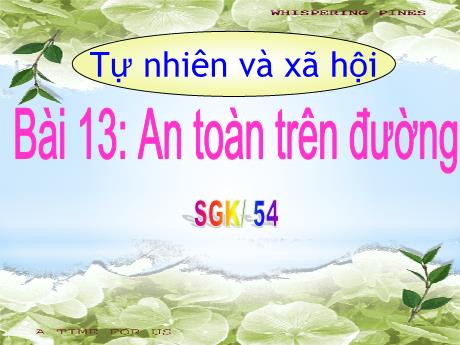 Bài giảng TNXH 1 - Bài 13: An toàn trên đường (Nguyễn Thị Thanh Hiền)