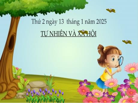 Bài giảng TNXH 1 - Bài 15: Cây xung quanh em (Tiết 3)(Nguyễn Thị Thanh Hiền)