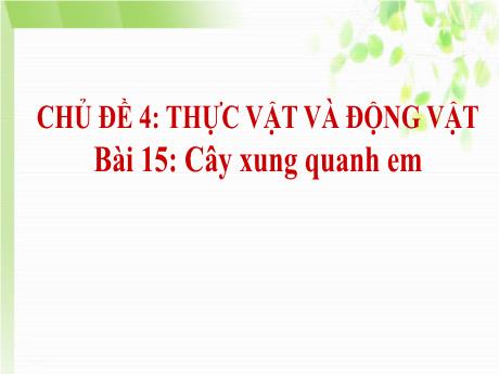 Bài giảng TNXH 1 - Chủ đề 4, Bài 15: Cây xung quanh em (Tiết 3)(Nguyễn Thị Ánh Tuyết)