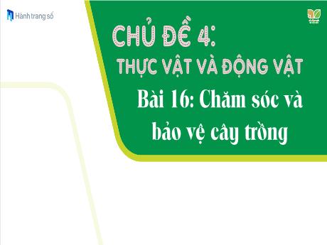 Bài giảng TNXH 1 (Kết nối tri thức) - Chủ đề 4, Bài 16: Chăm sóc và bảo vệ cây trồng (Nguyễn Thị Thanh Hiền)