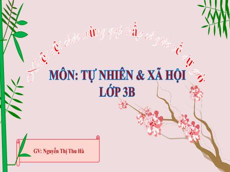 Bài giảng TNXH 3 - Bài 23: Chăm sóc và bảo vệ cơ quan thần kinh (Tiết 1)(Nguyễn Thị Thu Hà)